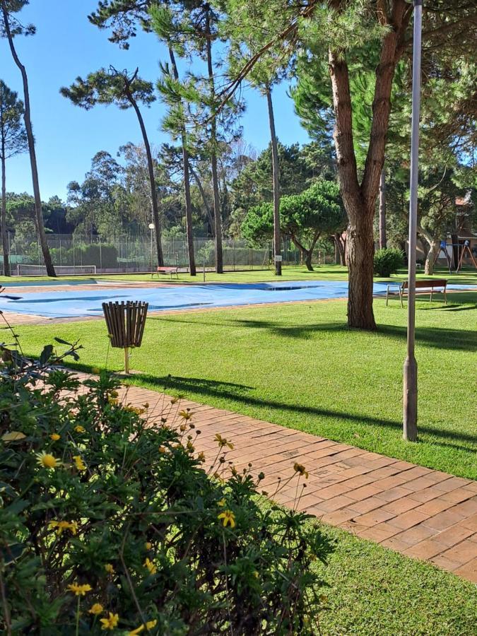 Little Paradise Al - *