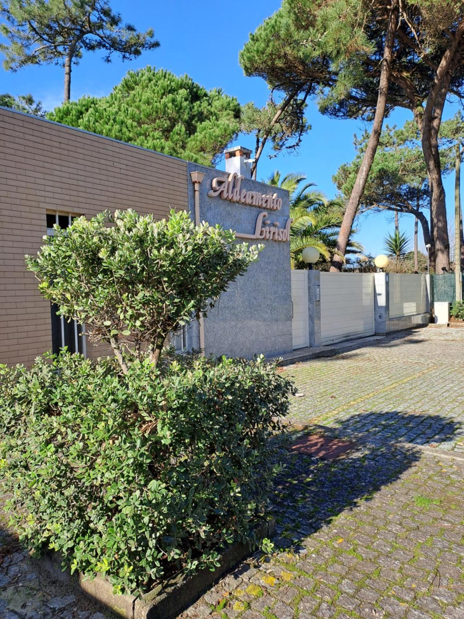 Little Paradise Al - Apartment