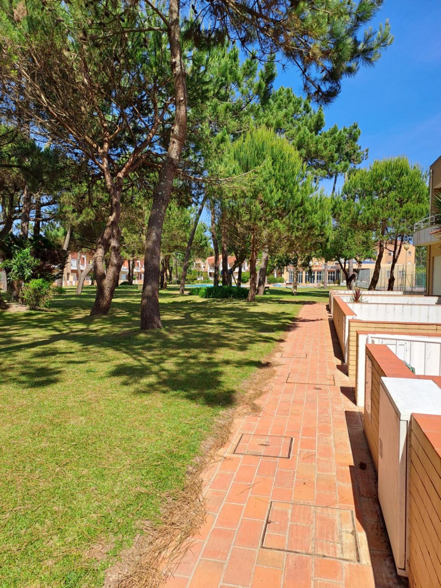 Little Paradise Al -